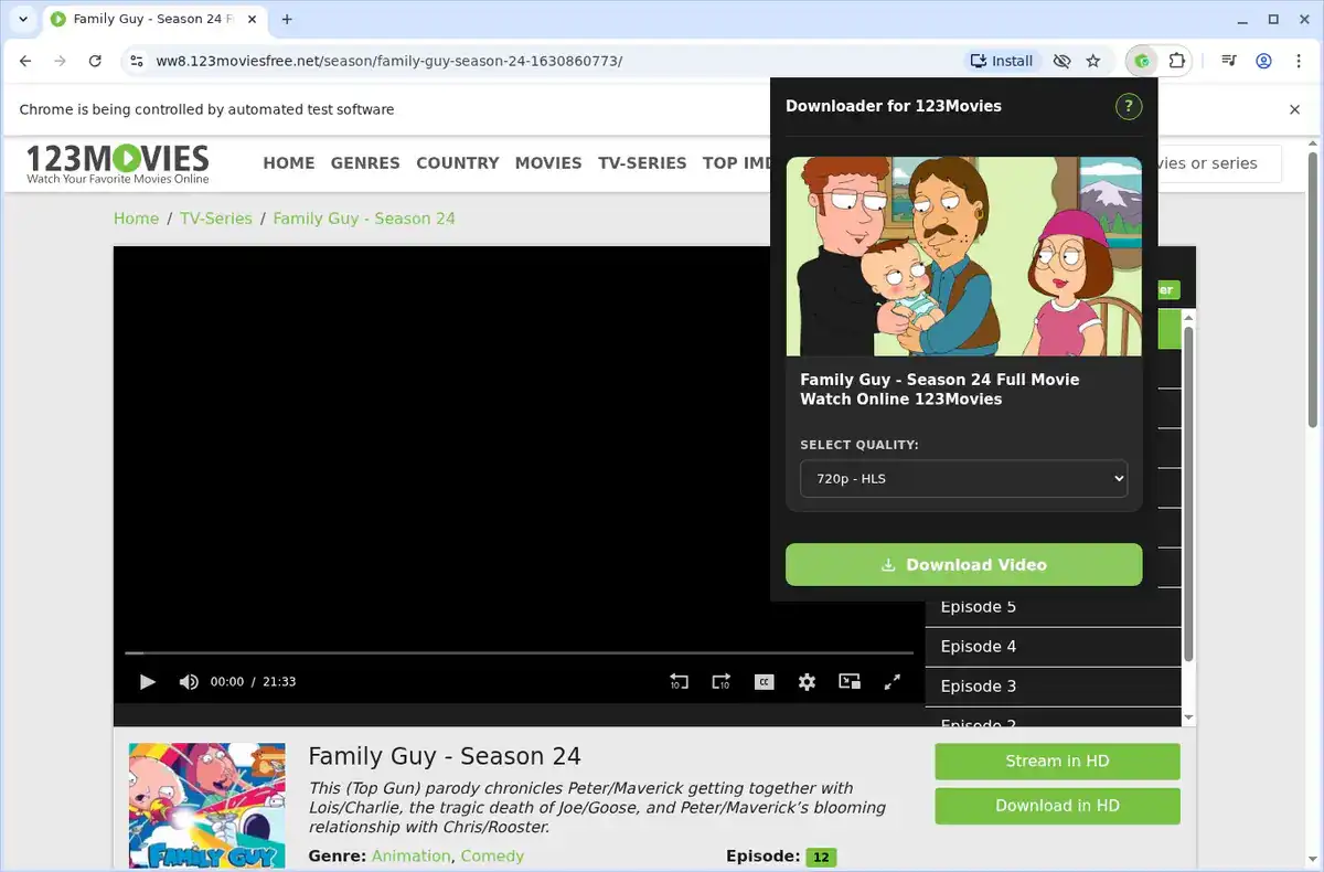 123Movies Video Downloader fullscreen screenshot