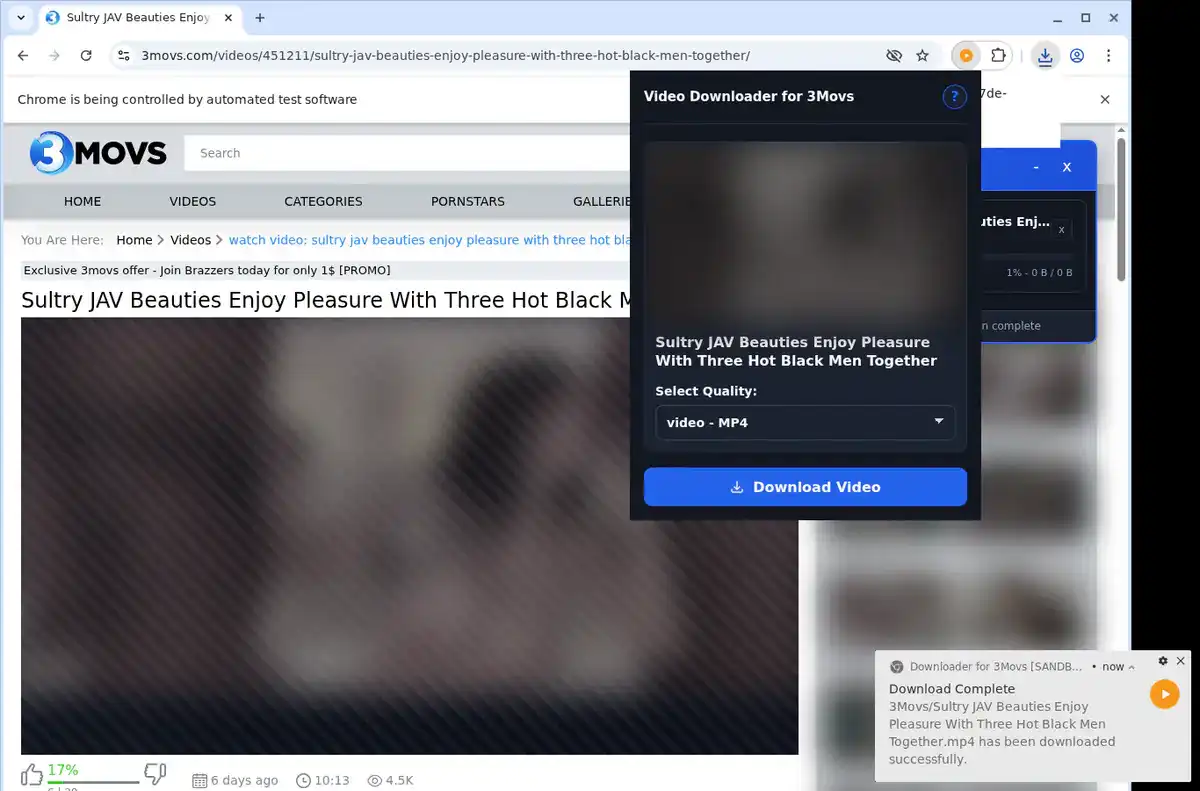 3Movs Downloader fullscreen screenshot