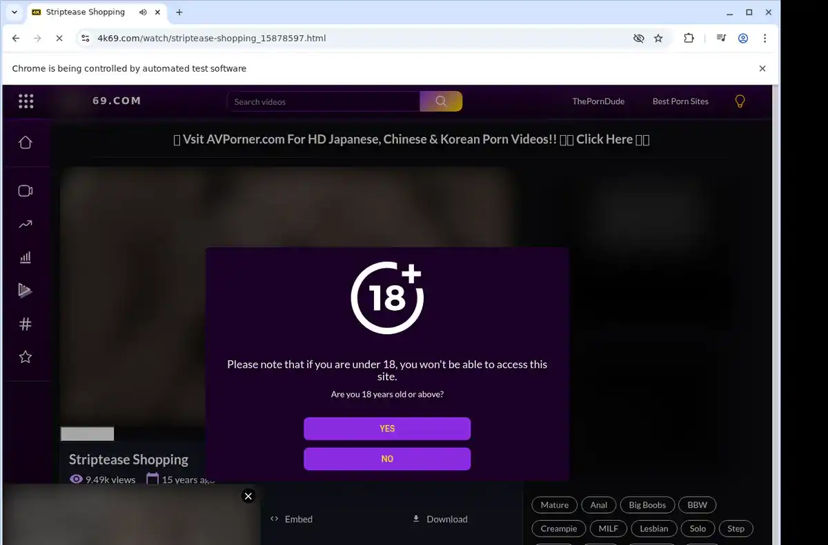 4K69 Downloader fullscreen screenshot