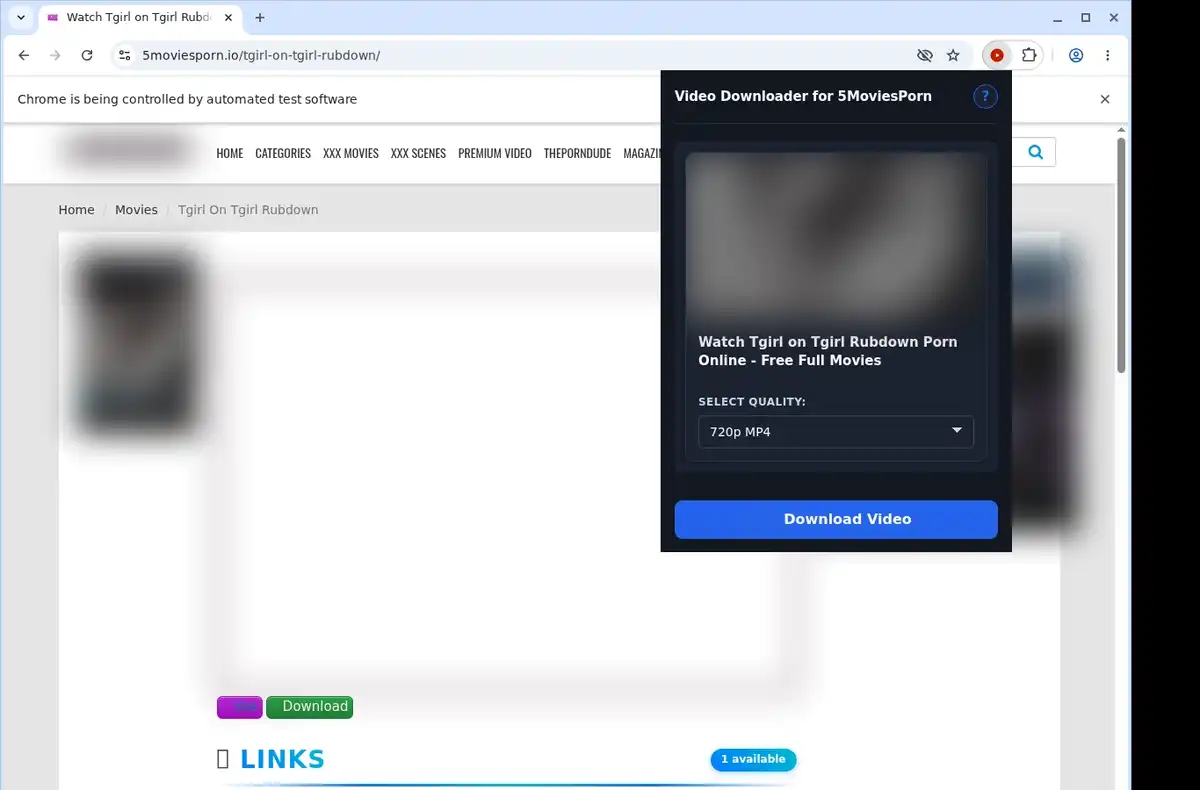5MoviesPorn Downloader ready state screenshot