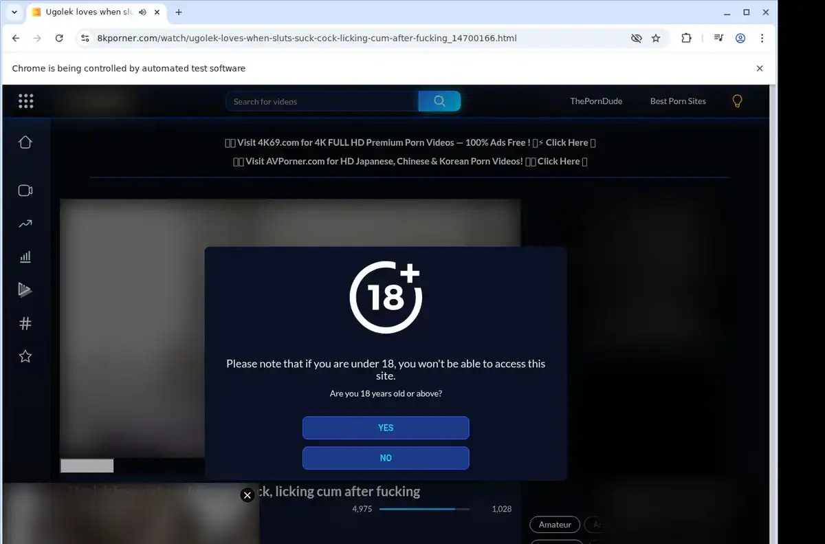 8K Porner Downloader fullscreen screenshot