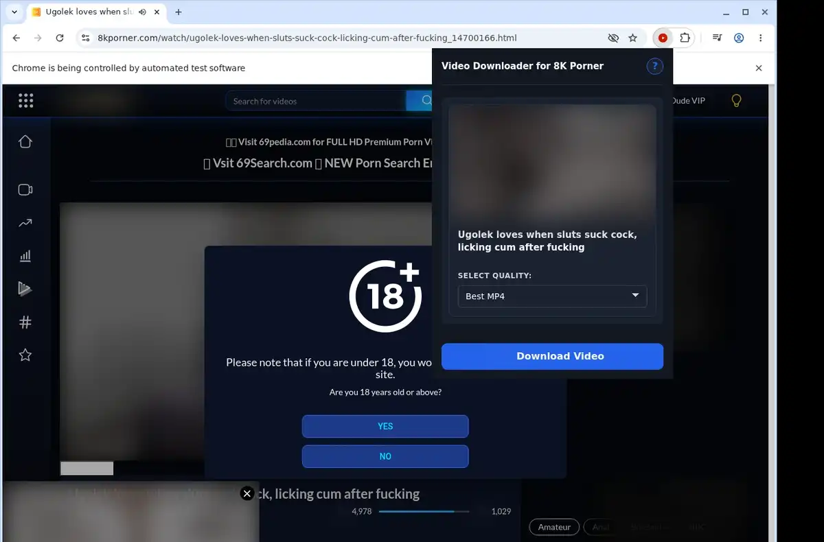 8K Porner Downloader ready state screenshot