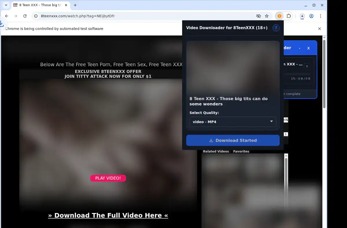 8TeenXXX Downloader fullscreen screenshot
