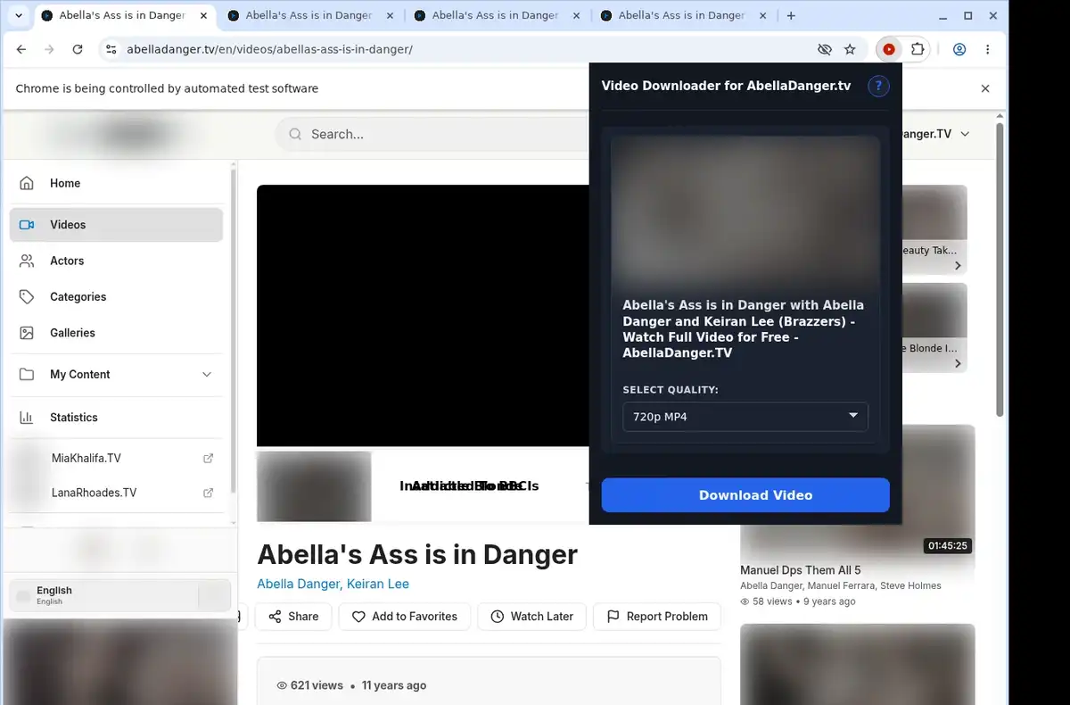 AbellaDanger.tv Downloader ready state screenshot
