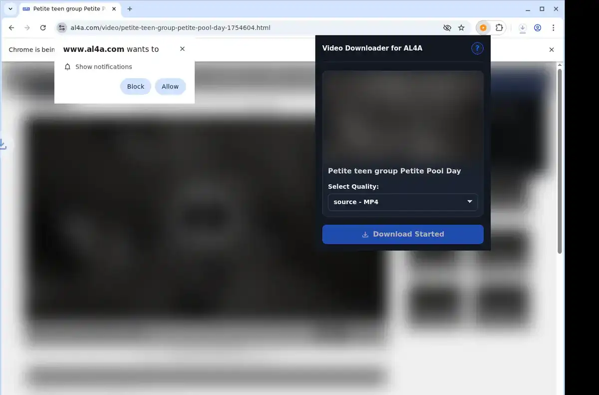 AL4A Downloader fullscreen screenshot