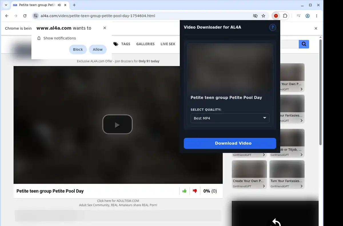 AL4A Downloader ready state screenshot
