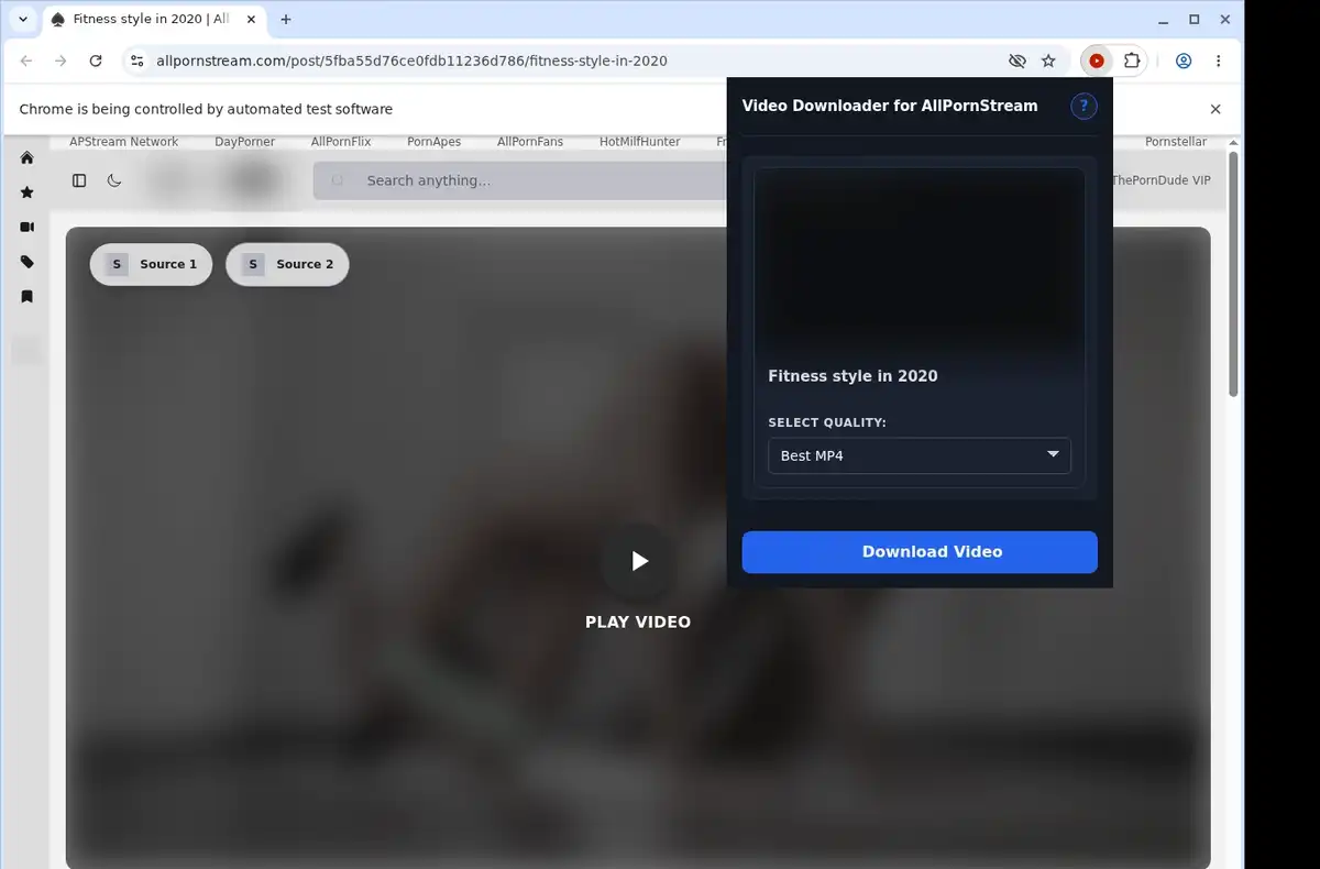 AllPornStream Downloader ready state screenshot