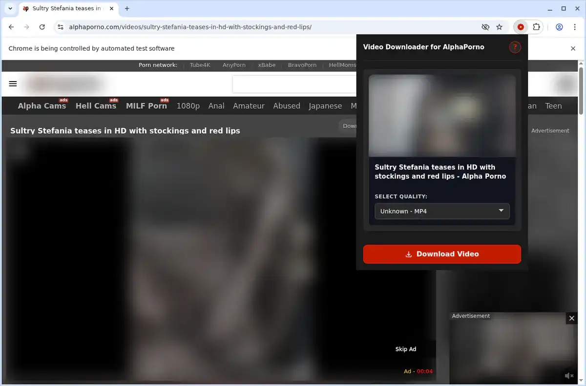 AlphaPorno Video Downloader fullscreen screenshot