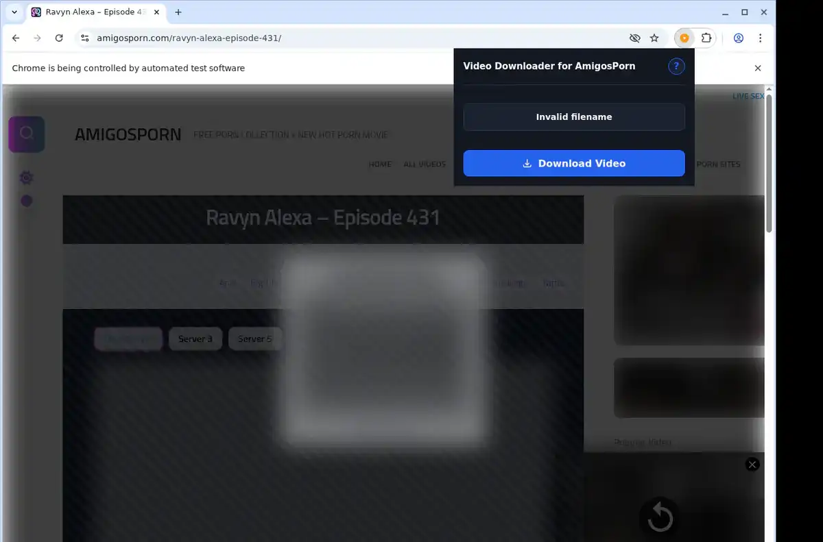 AmigosPorn Downloader fullscreen screenshot