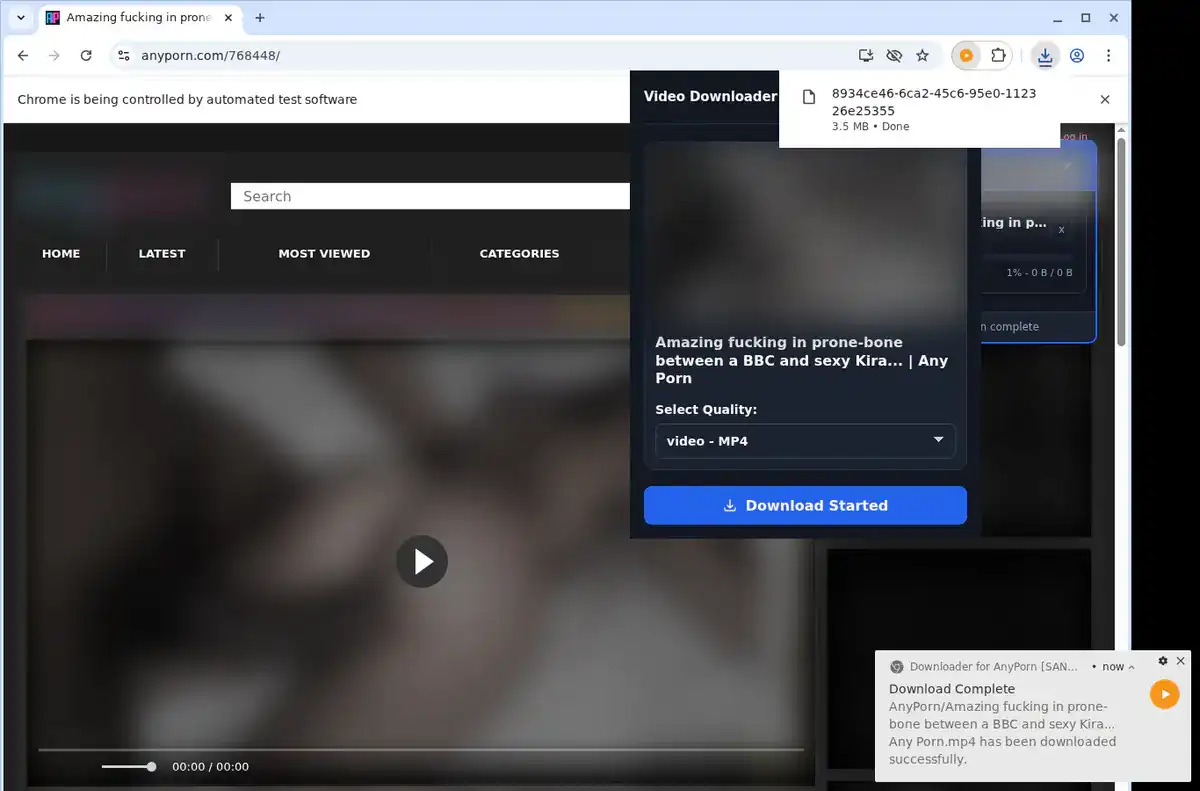 AnyPorn Downloader fullscreen screenshot