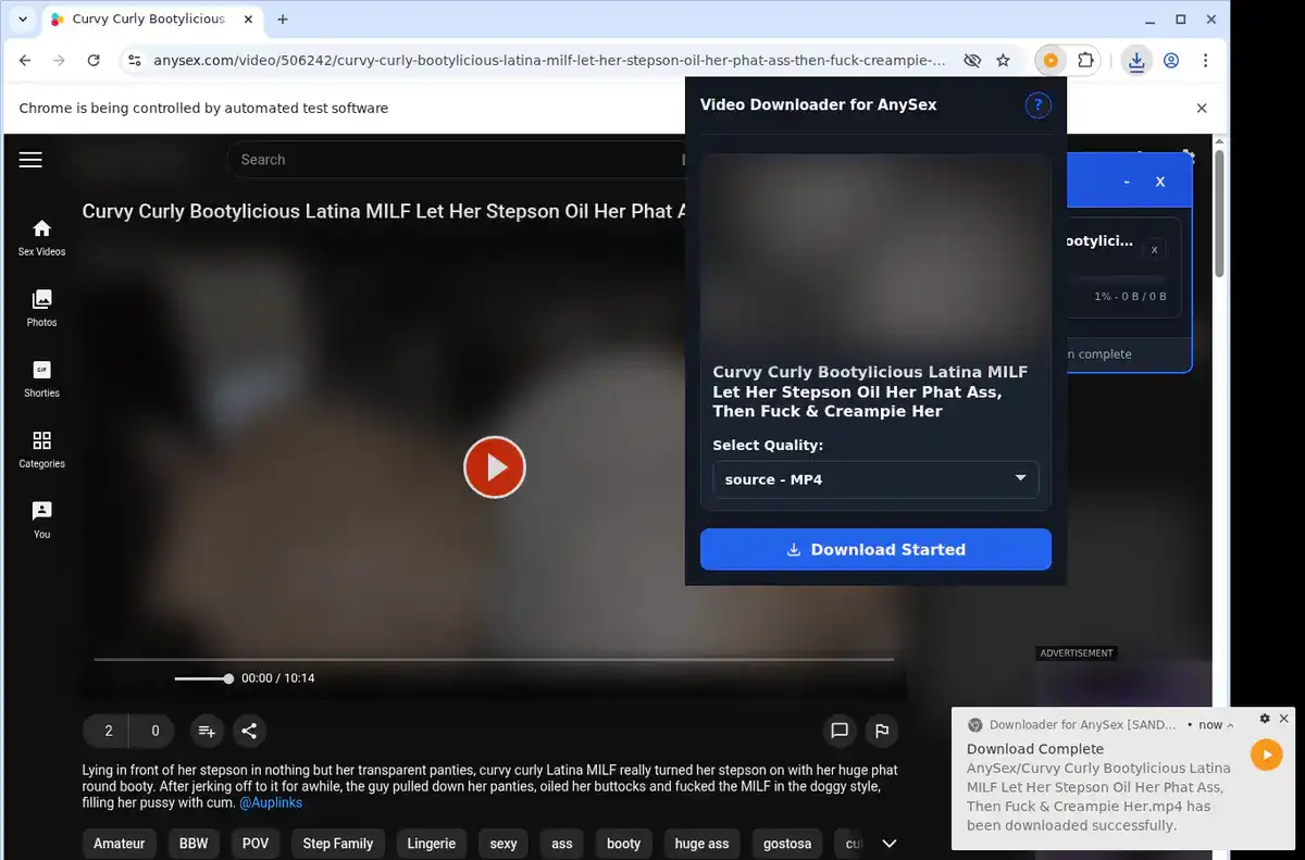 AnySex Downloader fullscreen screenshot