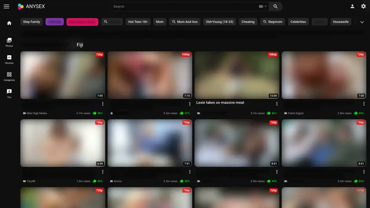 AnySex Downloader website preview