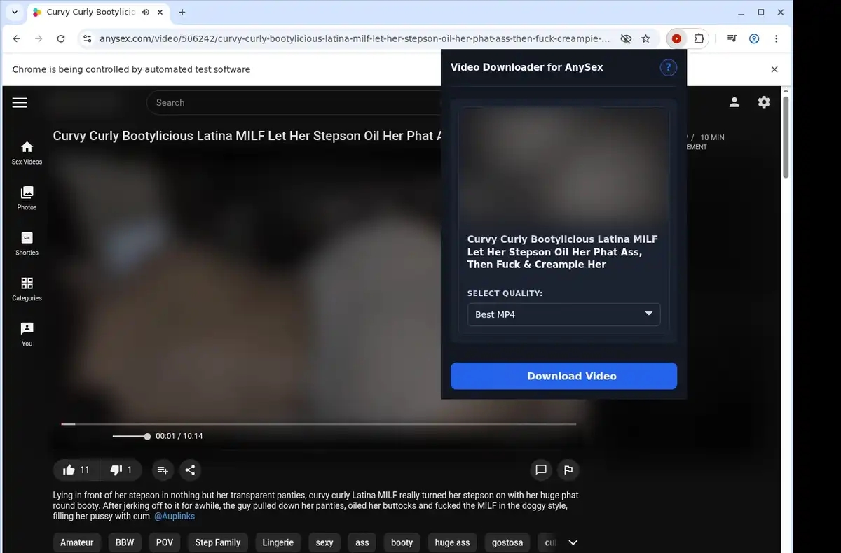 AnySex Downloader ready state screenshot