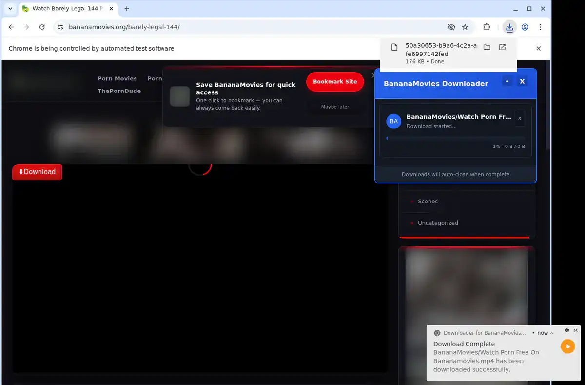 BananaMovies Downloader fullscreen screenshot