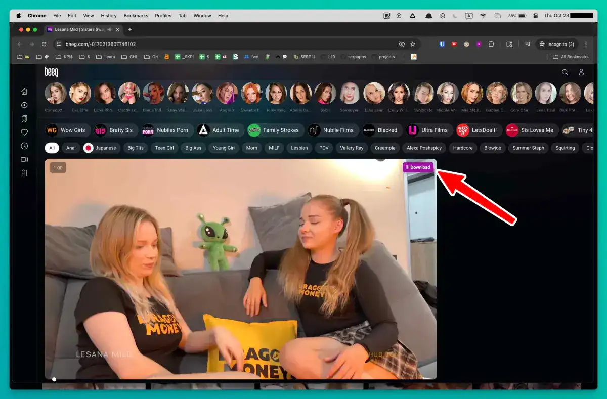 Beeg Video Downloader product page preview