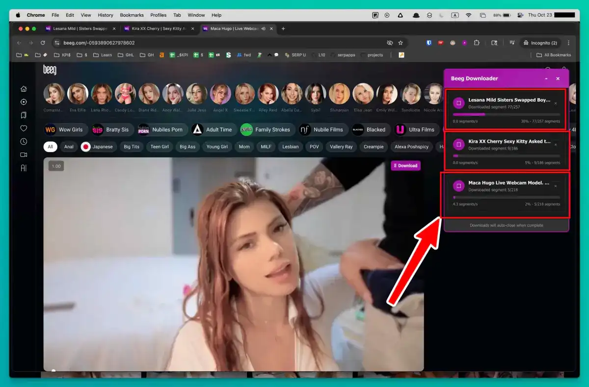 Beeg Video Downloader progress indicators