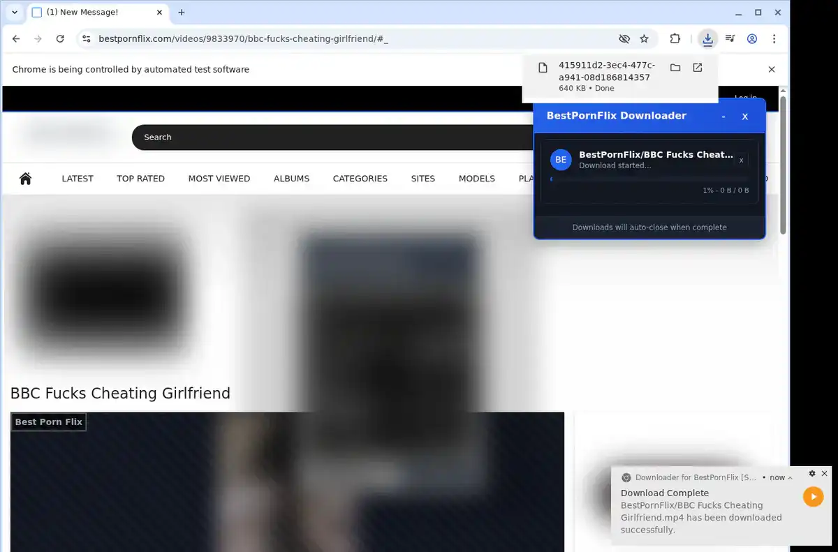 BestPornFlix Downloader fullscreen screenshot