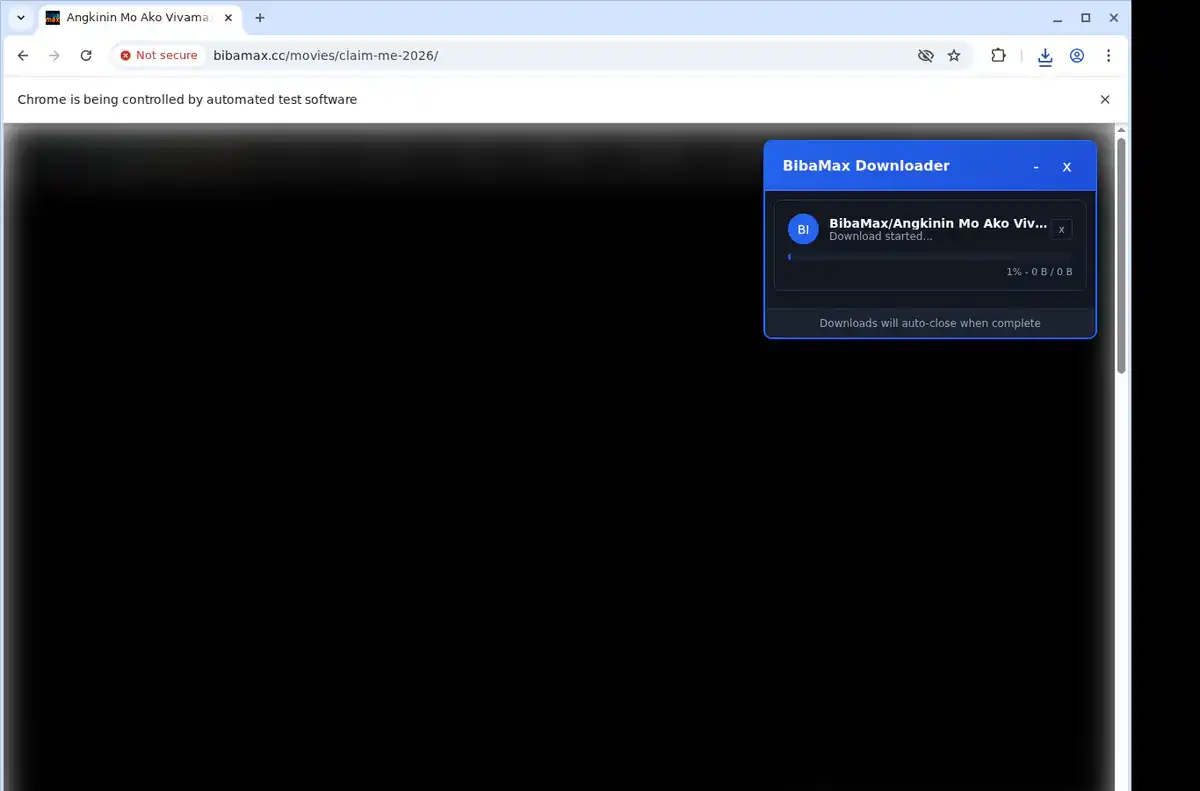 BibaMax Downloader fullscreen screenshot