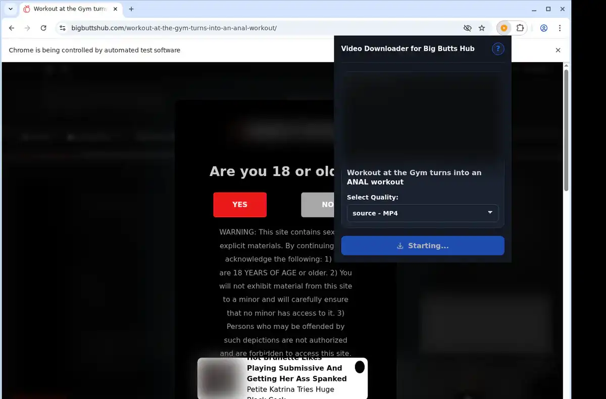 Big Butts Hub Downloader fullscreen screenshot