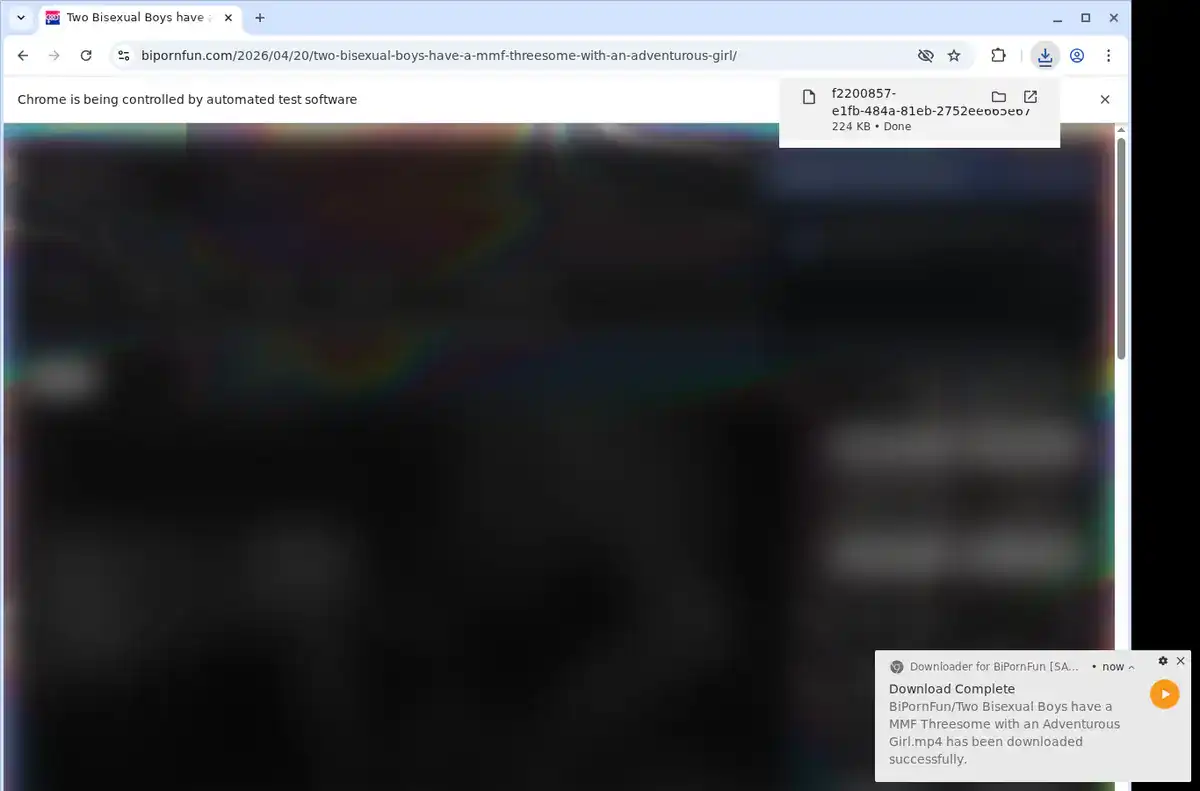 BiPornFun Downloader fullscreen screenshot