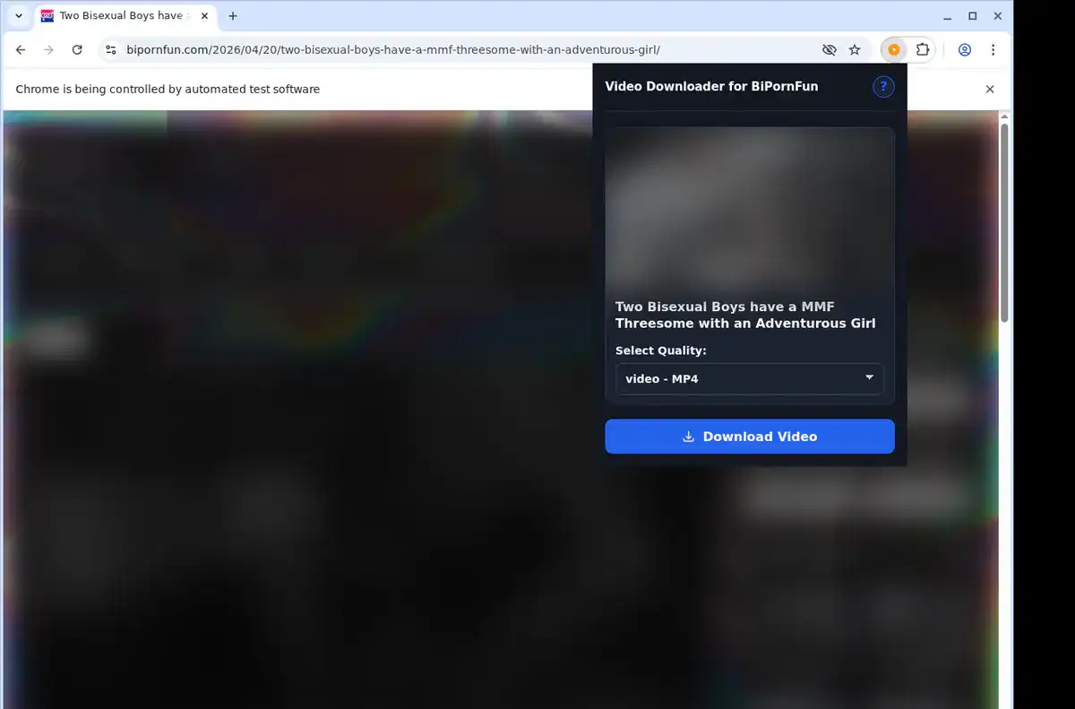 BiPornFun Downloader fullscreen screenshot