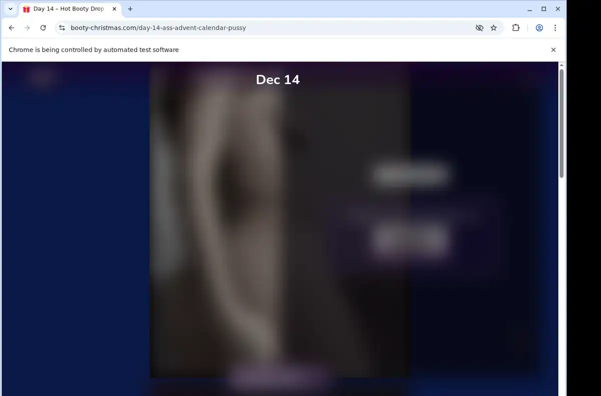 Booty Christmas Downloader fullscreen screenshot