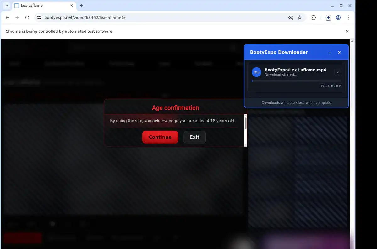 BootyExpo Downloader fullscreen screenshot