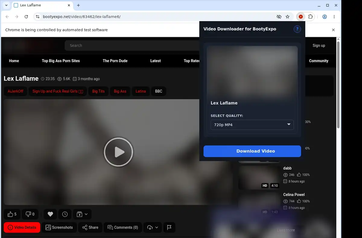 BootyExpo Downloader ready state screenshot