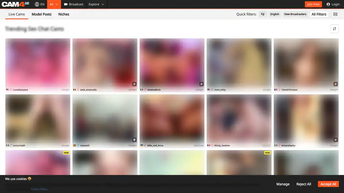 Cam4 Video Downloader website preview