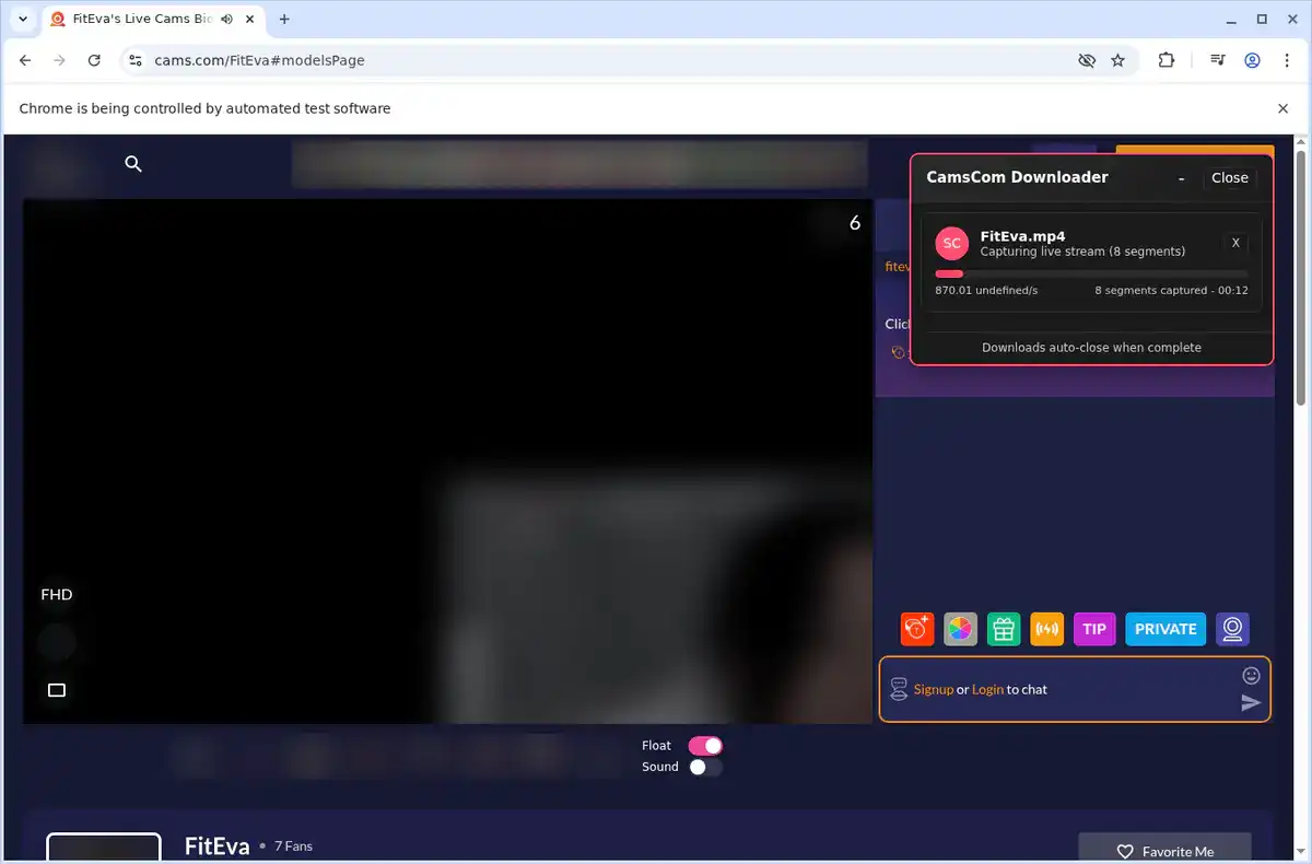 Cams.com Video Downloader fullscreen screenshot