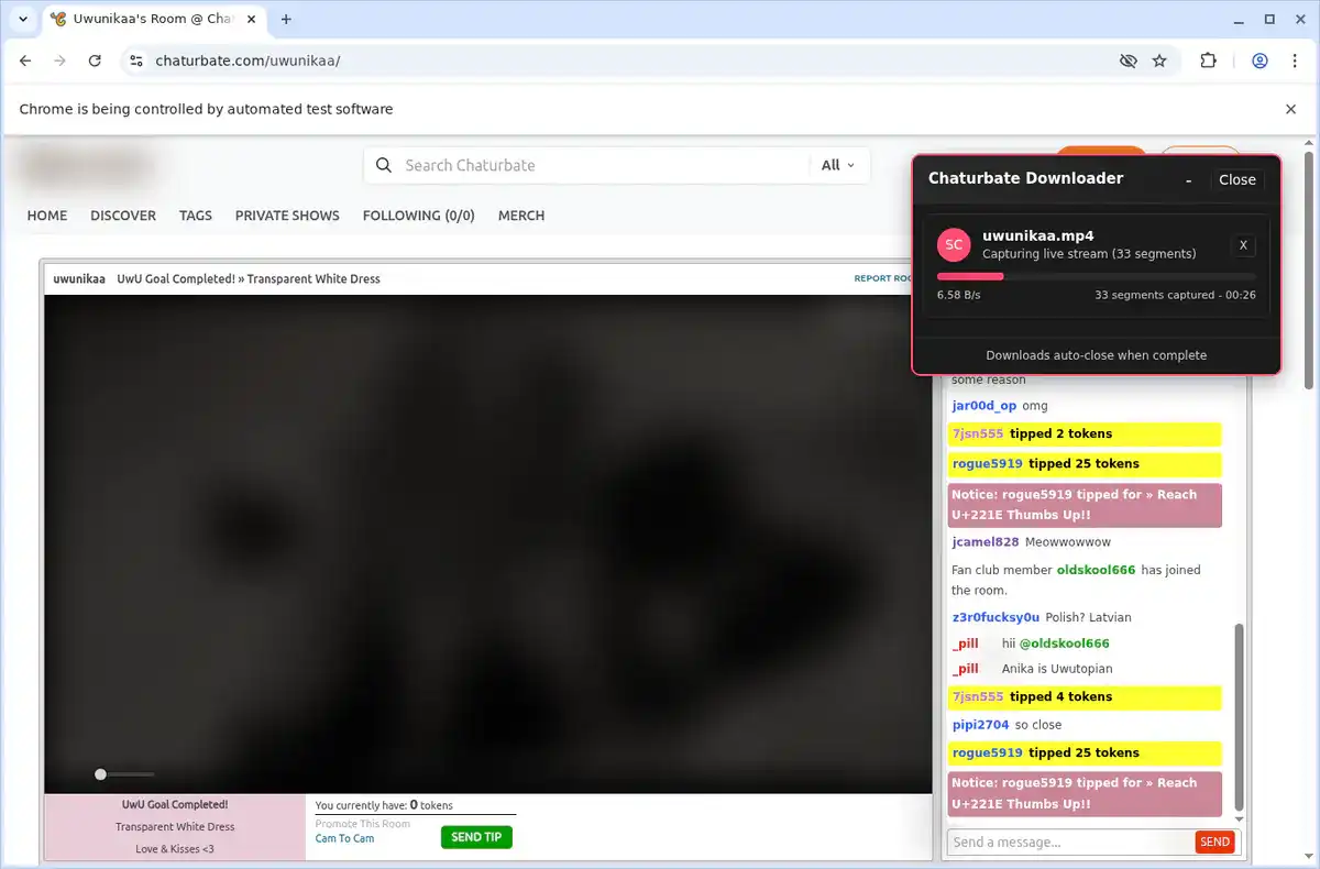 Chaturbate Video Downloader fullscreen screenshot
