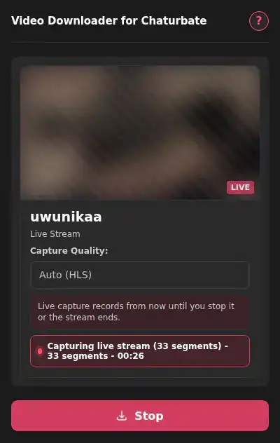 Chaturbate Video Downloader fullscreen screenshot