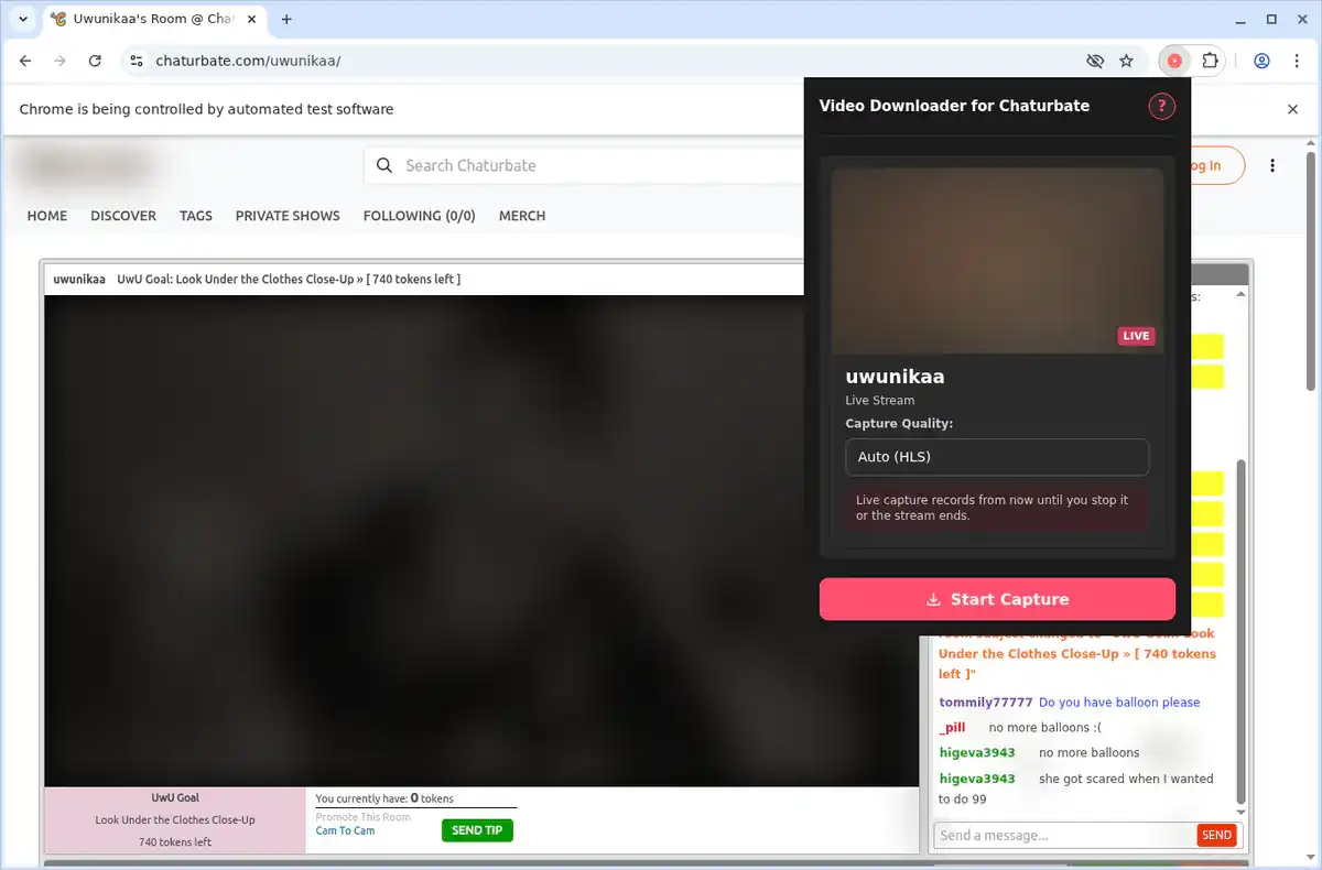 Chaturbate Video Downloader fullscreen screenshot