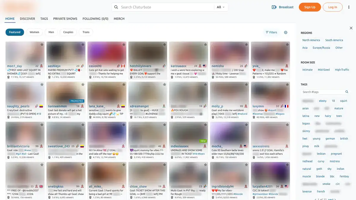 Chaturbate Video Downloader website preview