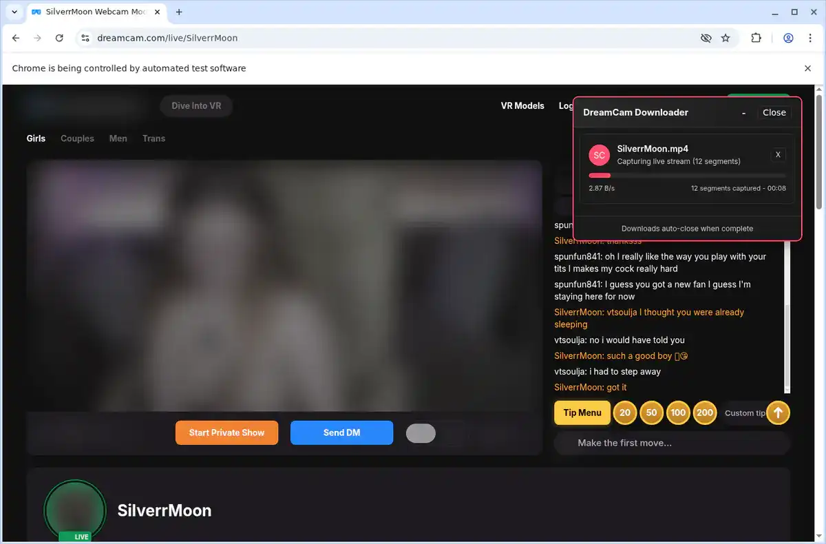 DreamCam Video Downloader fullscreen screenshot