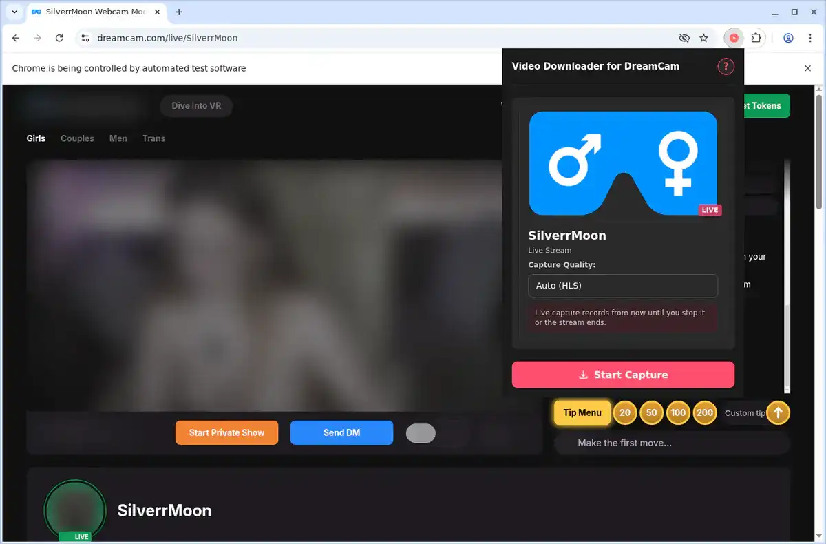 DreamCam Video Downloader fullscreen screenshot