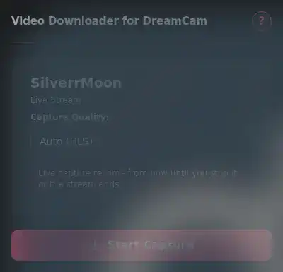 DreamCam Video Downloader fullscreen screenshot