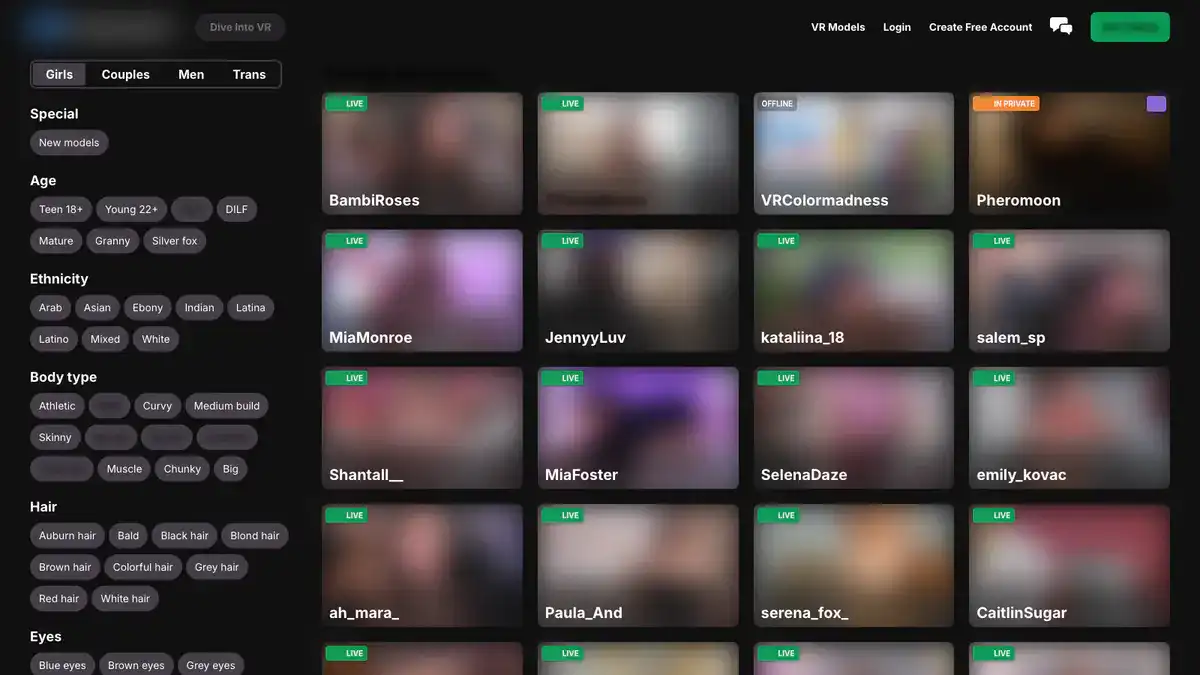 DreamCam Video Downloader website preview