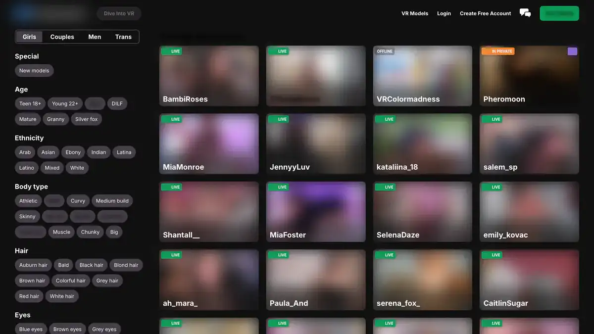 DreamCamVR Video Downloader website preview