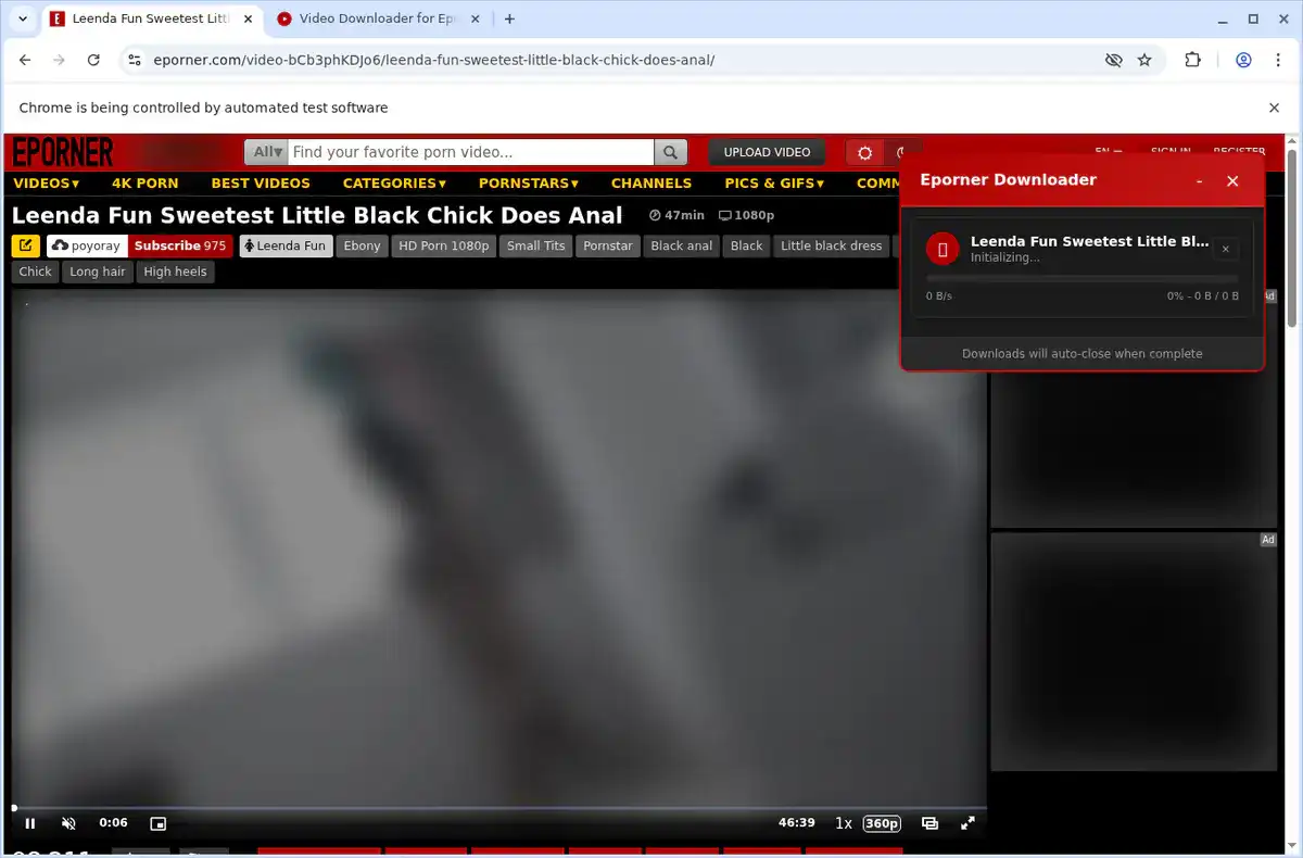 EPorner Video Downloader fullscreen screenshot