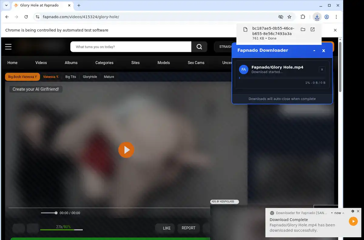 Fapnado Downloader fullscreen screenshot