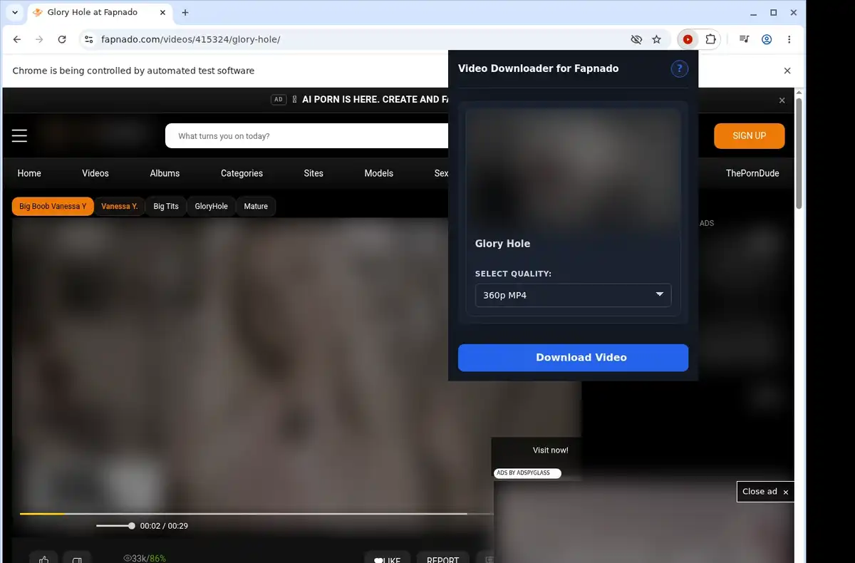 Fapnado Downloader ready state screenshot