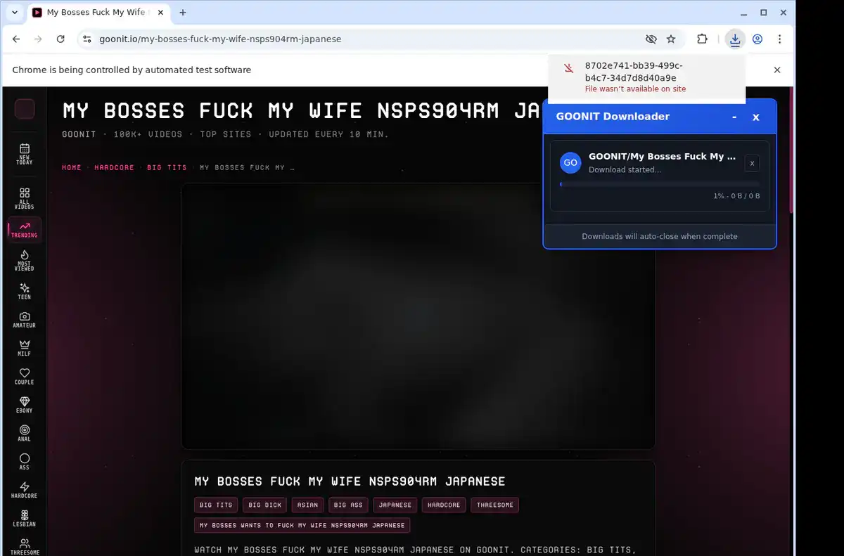 GOONIT Downloader fullscreen screenshot