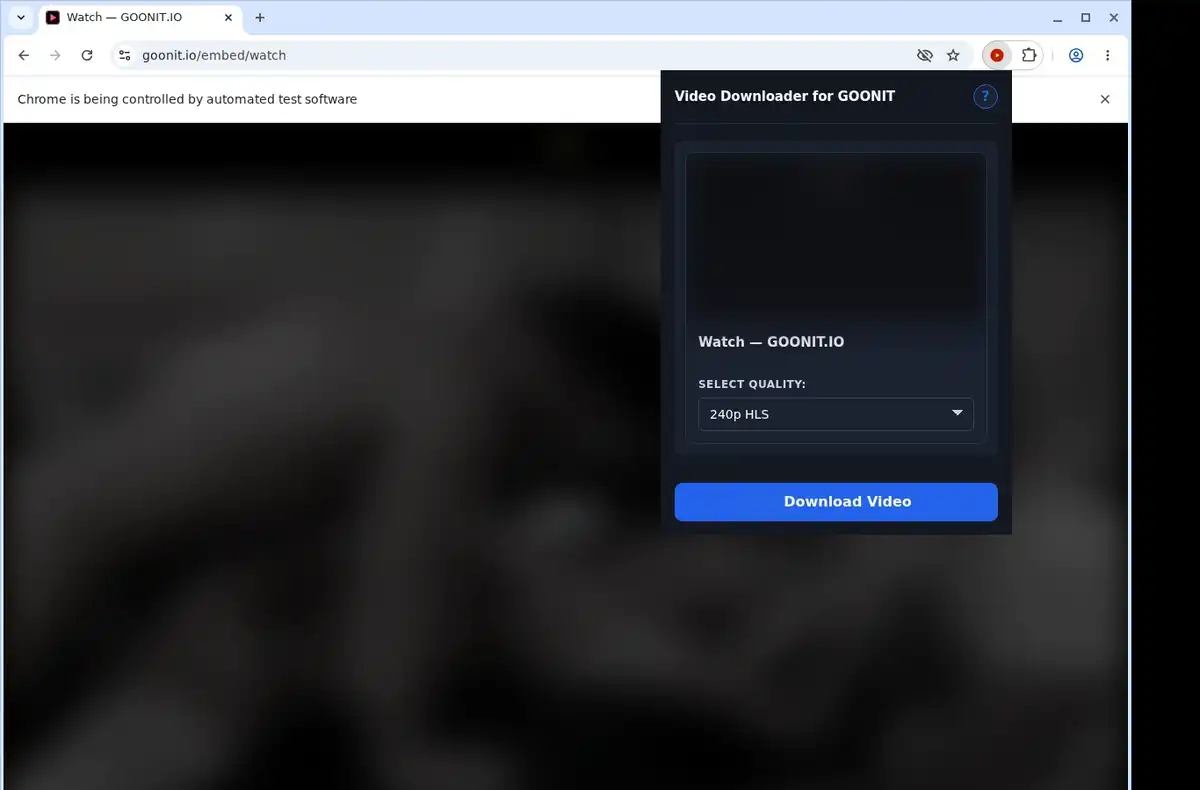 GOONIT Downloader ready state screenshot