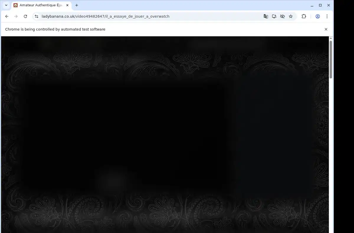Lady Banana Downloader fullscreen screenshot