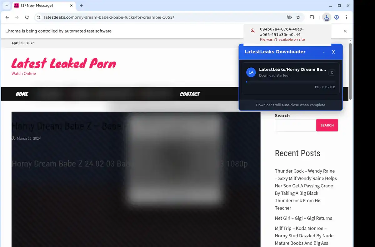 LatestLeaks Downloader fullscreen screenshot