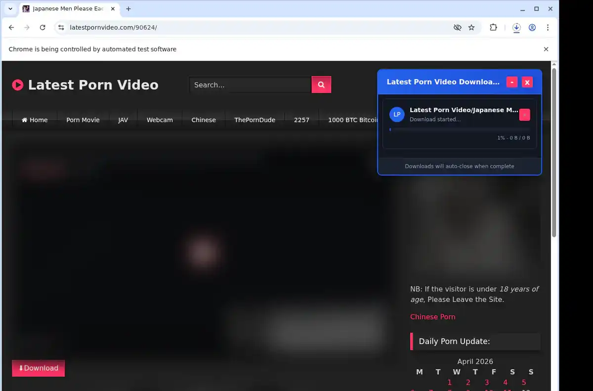 Latest Porn Video Downloader fullscreen screenshot
