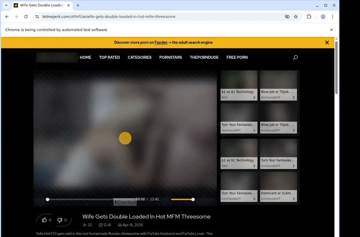 LetMeJerk Downloader fullscreen screenshot