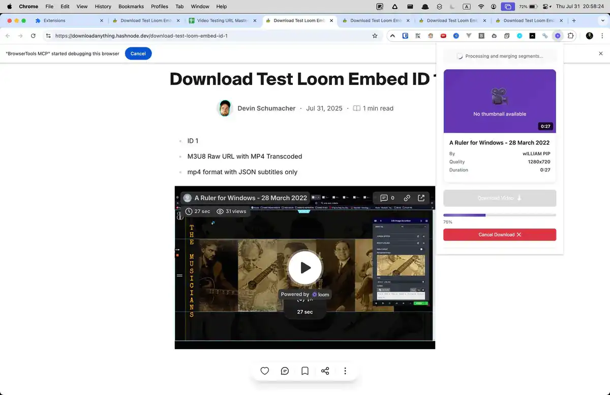 Loom Video Downloader main interface