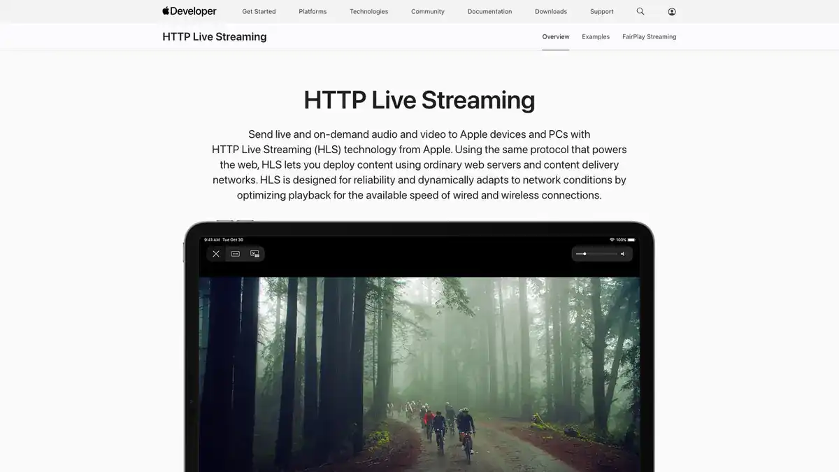 M3U8 Stream Downloader website preview